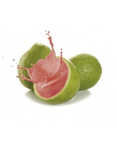 PULPA GUAYABA 100 GR.