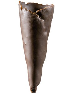 MINI CONO CHOCOLATE