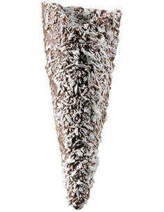 MINI CONO COCO