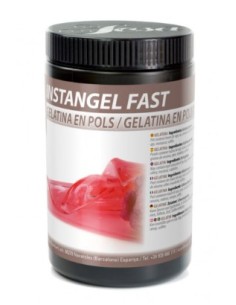 INSTANGEL FAST 400 GR