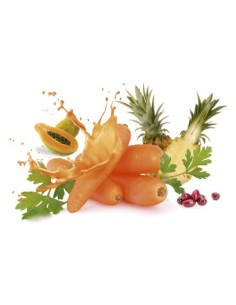 SMOOTHIES CARROT BOST